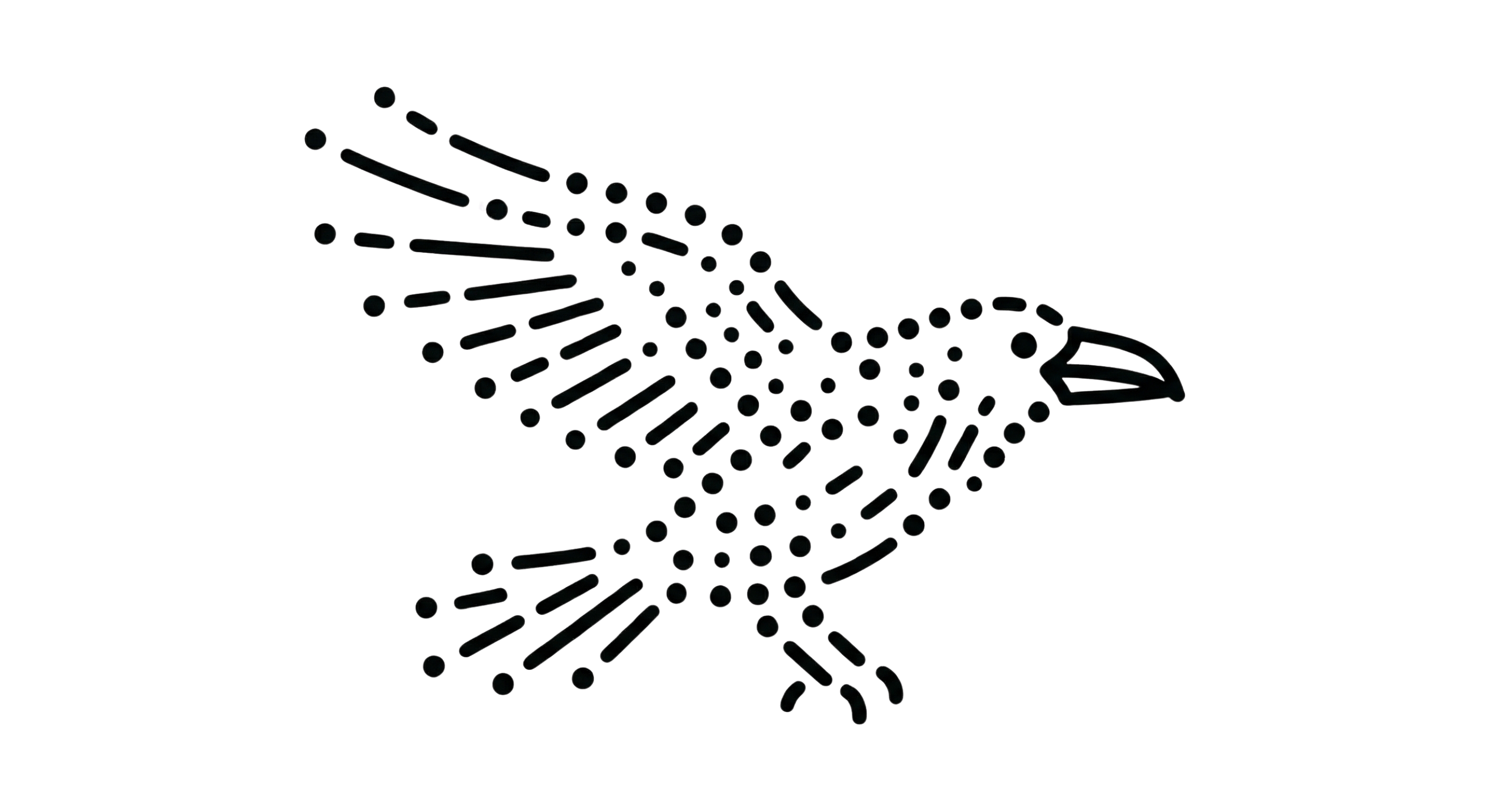 DeepRaven